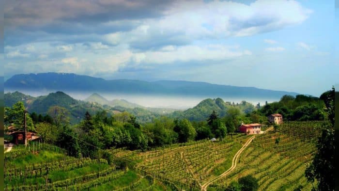 Colline del Prosecco