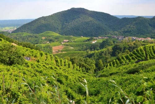 Colline del Prosecco