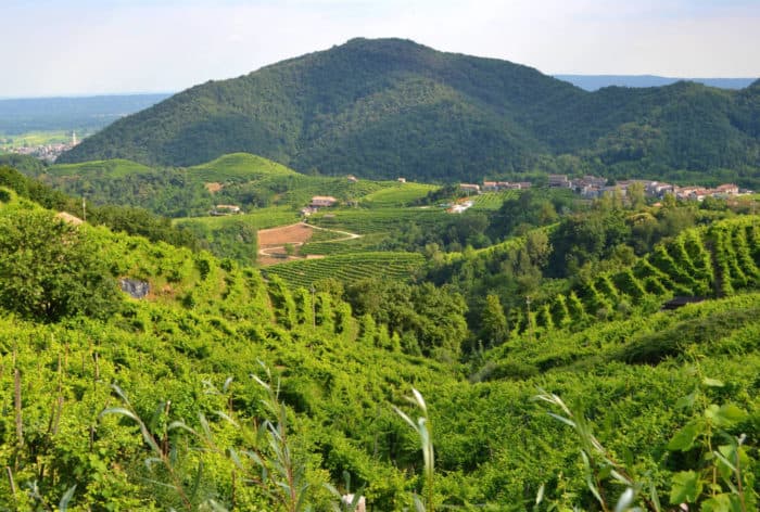Colline del Prosecco
