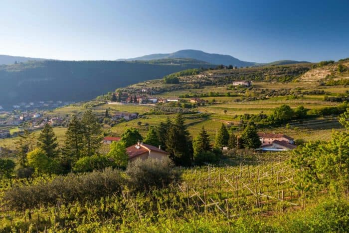 CANTINE IN VALPOLICELLA - immagine 2