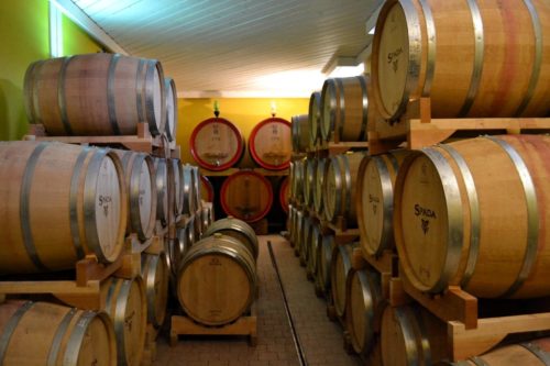 Cantine in Valpolicella