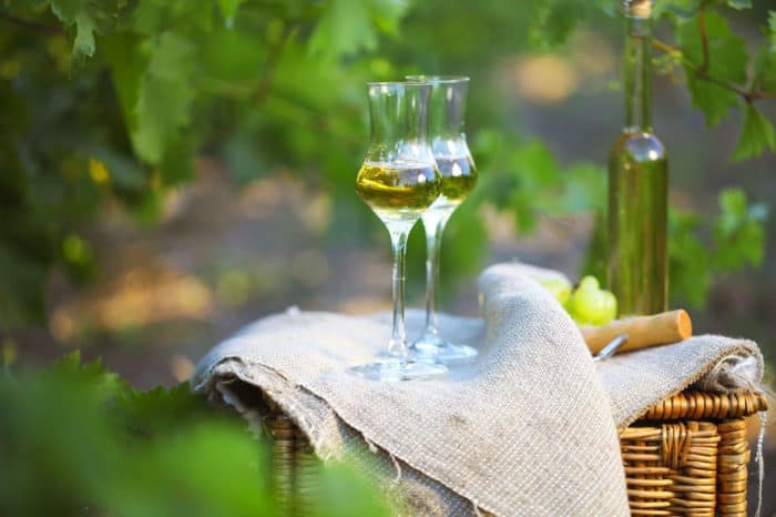 GRAPPA TOUR - immagine 3