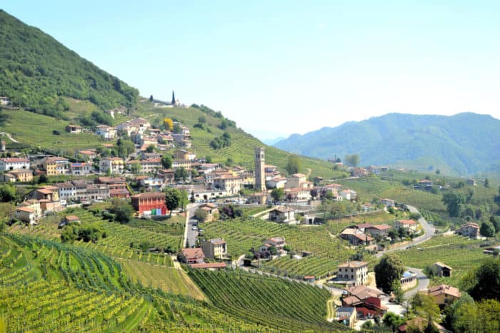 PRIMAVERA DEL PROSECCO - immagine 3