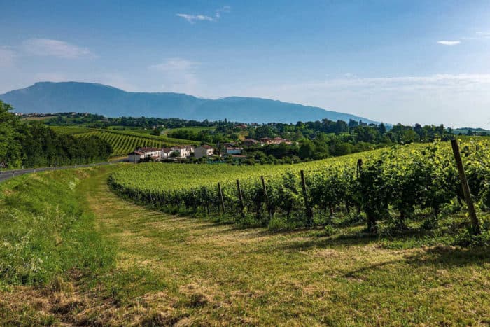 Cantine Prosecco