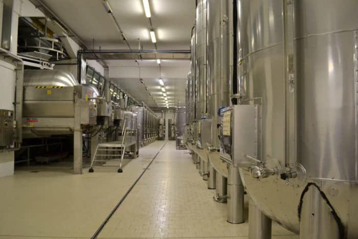 TOUR CANTINE PROSECCO - immagine 3