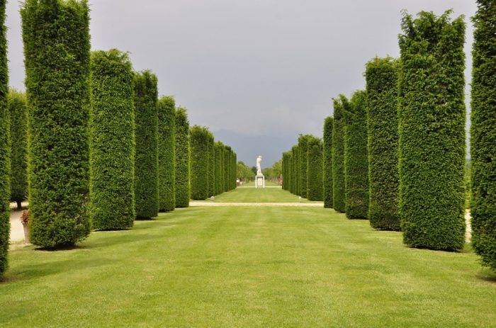 TORINO E LA VENARIA REALE - immagine 5