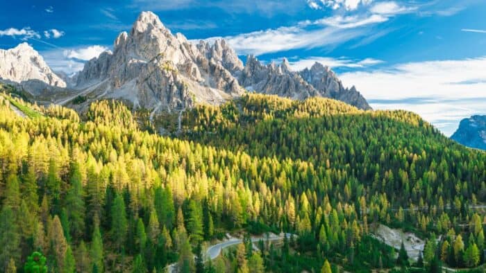 TOUR BUZZATI - immagine 5