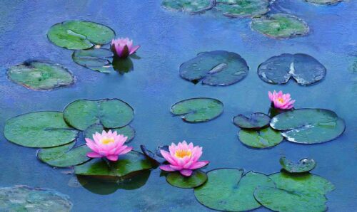 Mostra Monet